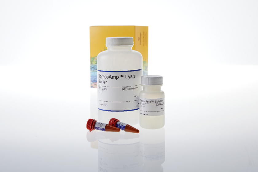 XpressAmp Direct Amplification Reagents HT Nerliens Meszansky AS xpressamp-direct-amplification-reagents-ht-nerliens-meszansky-as